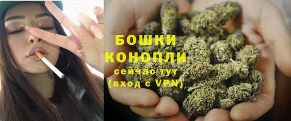 ECSTASY Верея