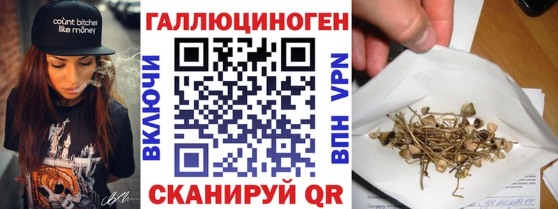 Псилоцибиновые грибы GOLDEN TEACHER  Островной 